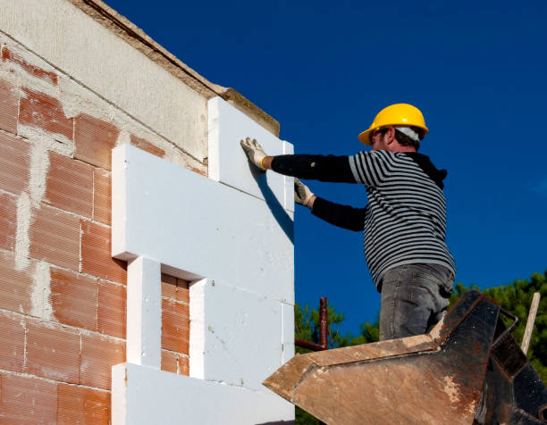 Best Insulation for New Construction  in Central Gardens, TX