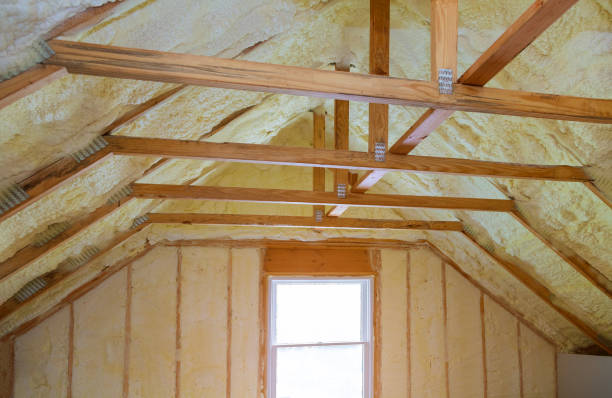 Best Insulation Repair Services  in Central Gardens, TX