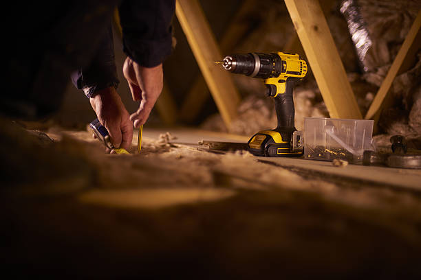 Best Insulation Removal Services  in Central Gardens, TX