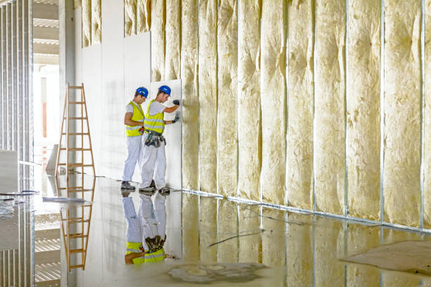 Best Insulation for New Construction  in Central Gardens, TX